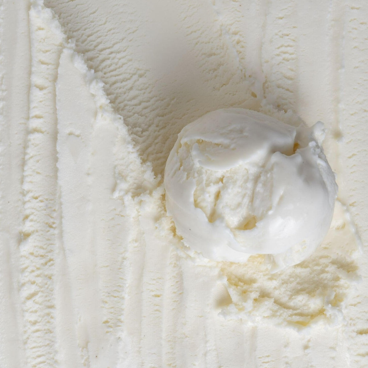 Vanilla Bean Ice Cream Tub Meemee's